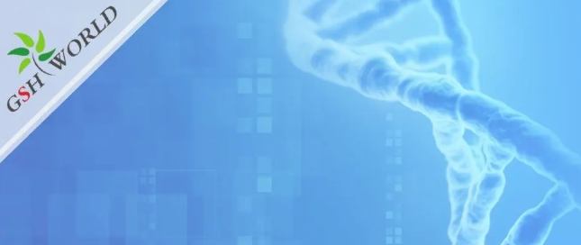 煙酰胺和nmn區(qū)別？煙酰胺單核苷酸(NMN) 的化合物