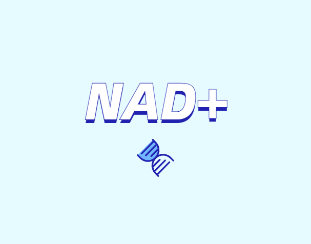 NAD與NMN的全新概念？
