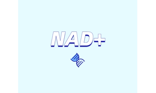 NAD在健康中有什么潛在作用？