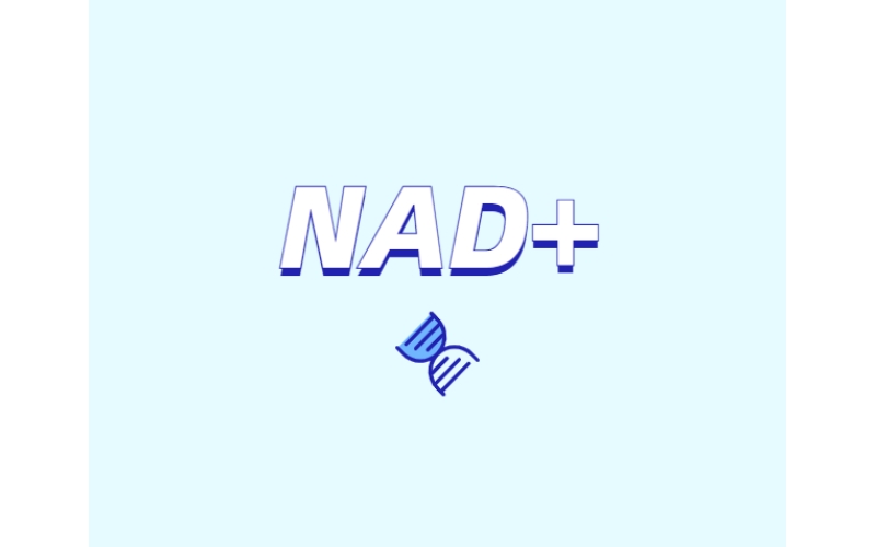 選擇NMN還是NR？