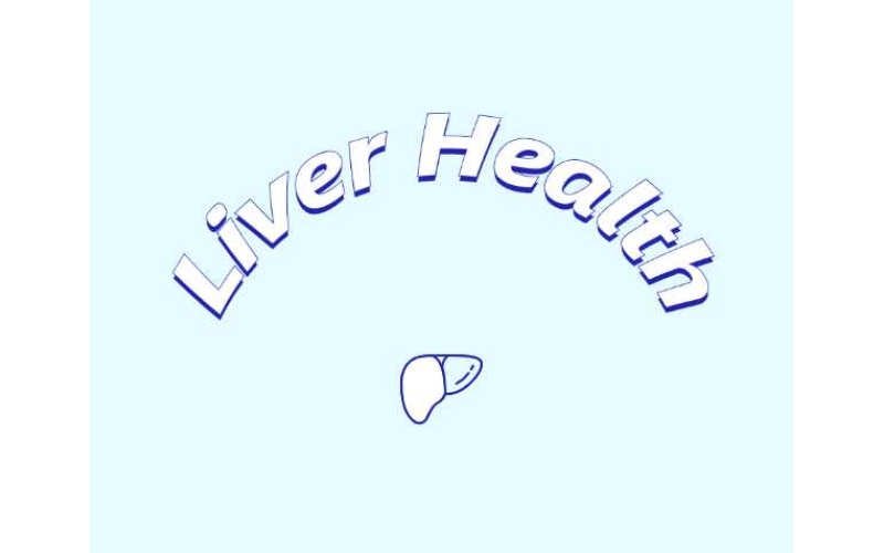 哪些原料可助力肝臟健康？